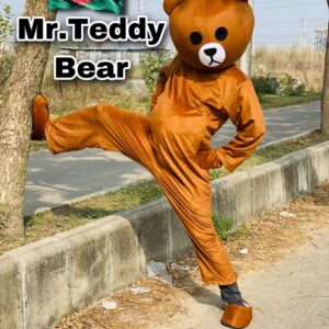 Mr Teddy bear